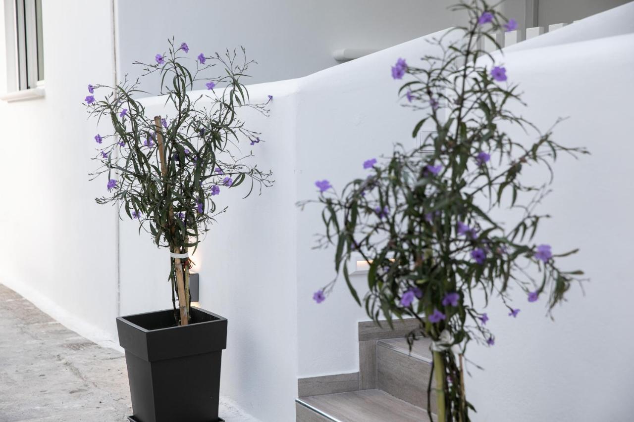 Anemela Studio Lux Naxos City Екстериор снимка